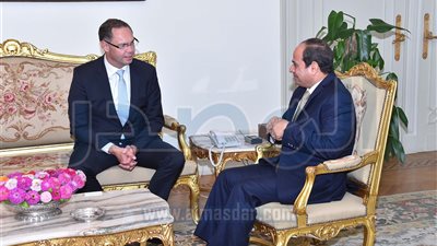 السيسي يبحث التعاون مع 