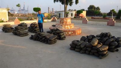 القوات المسلحة تكثف جهودها لمحاربة الارهاب