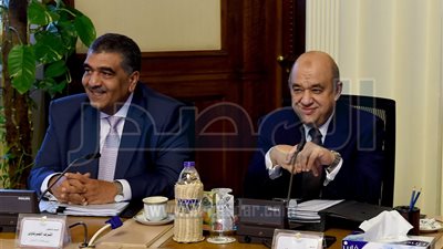 مجلس الوزراء يوافق على طرح مناقصة لتوريد أدوية الأورام