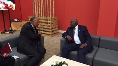 شكري يجري مباحثات حول 