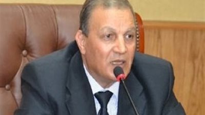 رئيس الوزراء يستثنى المحلة من تخفيف الأحمال الكهربائية 