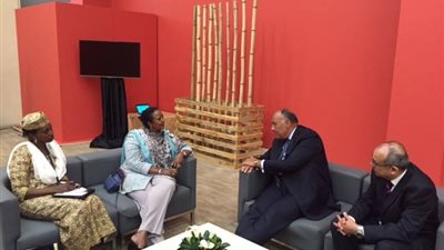 شكري يبحث ملف مياه النيل مع وزيرة خارجية كينيا