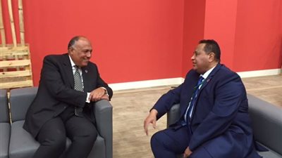 شكري يعقد اجتماعًا تشاوريًا مع ممثلي إفريقيا بمجلس الأمن