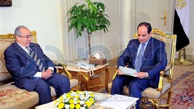 القضايا الإقليمية محور لقاء