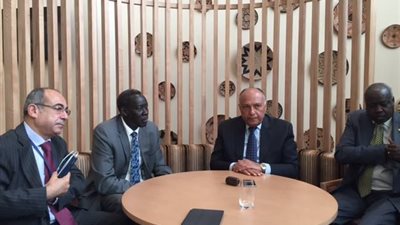وزير الخارجية يناقش أزمة جنوب السودان مع نظيره في جوبا