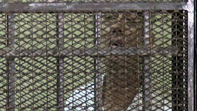 تأجيل محاكمة سامح فهمي في قضية تصدير الغاز لـ 22 نوفمبر