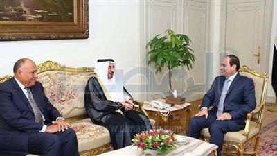 السيسى يلتقى امين عام  منظمة التعاون الاسلامى