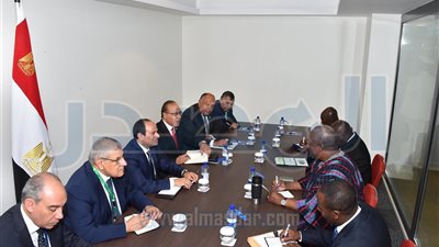 السيسي ونظيره الغاني يبحثان تطوير العلاقات الثنائية بين البلدين