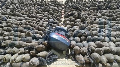  قوات حرس الحدود تواصل عمليات مكافحة الإرهاب والمخدرات وعمليات التهريب 