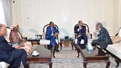 ماذا قال رئيس النيجر في وداع السيسي بالقمة الأفريقية