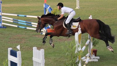 جامعة المنصورة توافق على إنشاء أول نادي للفروسية