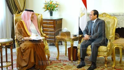 القضايا العربية تتصدر لقاء