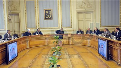 رئيس الجهاز المركزى للتعبئة والاحصاء: مصر تزيد كل دقيقة 4 مواليد