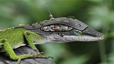 اختراع روبوت على شكل حيوان السمندل