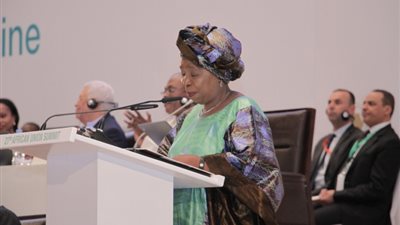 رئيسة الاتحاد الإفريقي تطلب مساهمة مصر في إنشاء صندوق تنمية للشباب 