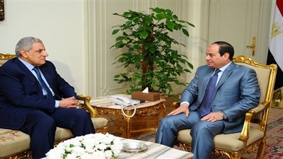 السيسي يقرر تشكيل لجنة برئاسة 