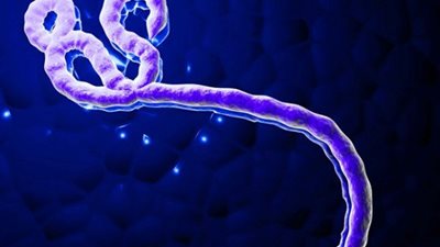 حالات الوفاة بالإيبولا تقترب من ثلاثة آلاف