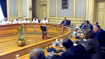 تنسيق مصرى إماراتى للإعداد لمؤتمر مصر الإقتصادى