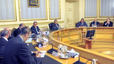 الحكومة تناقش حل مشكلات مصانع الأسمدة وتوفير الغاز لها