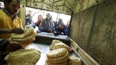 مصر توقف استيراد القمح حتى مارس