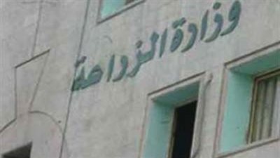 “الزراعة”: مليون و230 ألف حالة تعد على الأراضي الزراعية منذ ثورة 25 يناير