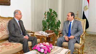 السيسي يوجه الحكومة بإجراءات عاجلة لحماية محدودي الدخل