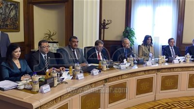 مجلس الوزراء يوافق على إعادة تخصيص 289 فدانا لـ