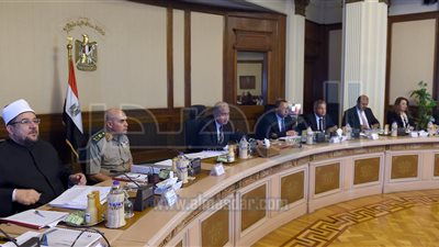 الحكومة تستعرض تقرير الموقف التنفيذى للمشروعات في الفيوم