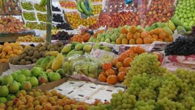 237 مليون دولار حصيلة صادرات الإسماعيلية الزراعية في 7 أشهر