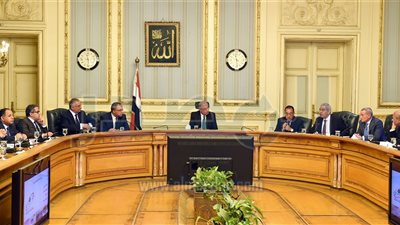 الحكومة: حريصون على الانتقال بصناعة الجلود لمصاف المستويات العالمية