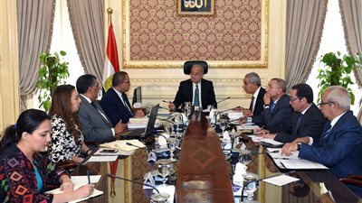 رئيس الوزراء يستعرض إعادة هيكلة وتطوير شركة الحديد والصلب 