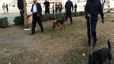 فريق المفرقعات يمشط محيط 