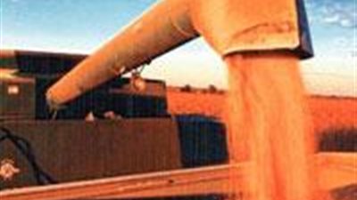 ارتفاع ارباح 