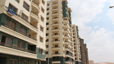 91.2 مليون جنيه أرباح 