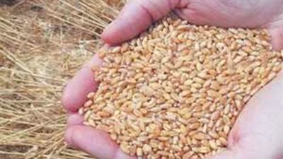 12.8 مليون جينه أرباح 