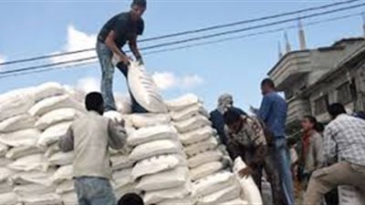 13.6 مليون جنيه أرباح 