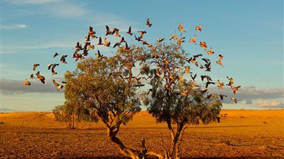 بالصور.. ناشيونال جيوجرافيك مسابقة الروعة