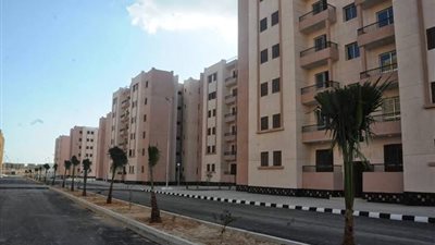 24 ألف جنيه أرباح 