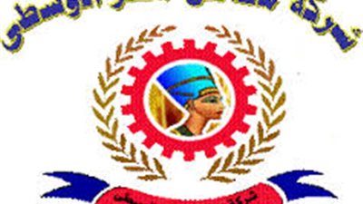 13.4 مليون جنيه أرباح 