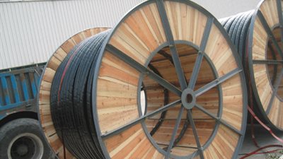 24.5 مليون جنيه أرباح 