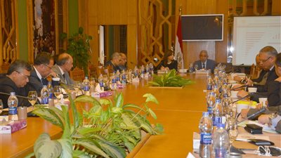 قابيل لـ28 سفير مصري: زيادة الصادرات والاستثمار أولى اهتماماتنا