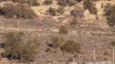 فيديو: كائن غريب في البرتغال يثير الرعب 