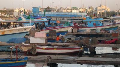 قرار عقد التأسيس والنظام الداخلى للجمعية التعاونية لصائدى الأسماك 