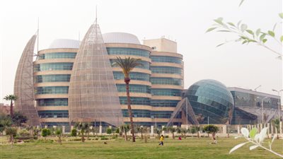 وفد إماراتى يتبرع بـ 50 مليون درهم و 18 مليون جنيه لصالح مستشفى 57357