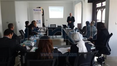 المصرية للاستثمار المباشر تضع بنود عقود الشراكة لحماية المساهمين