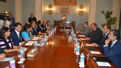 وزير الخارجية يلتقى مجموعة الصداقة 