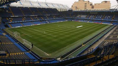 الوطاويط تهدد ملعب تشلسي الجديد