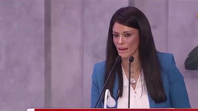 «المشاط»: صياغة إطار للتمويل المختلط يعزز الاستثمارات الخضراء