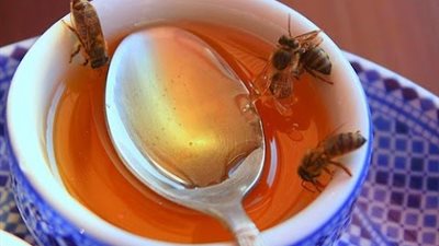 كيف تفرق بين العسل الأصلي والمغشوش؟