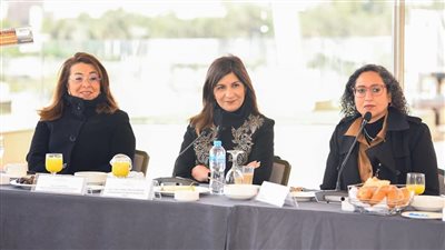 وزيرة الهجرة تبحث فتح آفاق للتعاون بين رواد الأعمال الأفارقة والمصريين